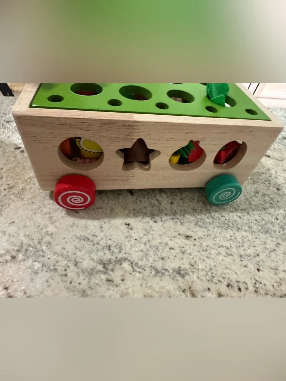 Montessori Wooden Garden Pop-Up Toy